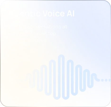 Agentic Voice AI Interface Preview